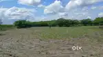 aagri land for sale.