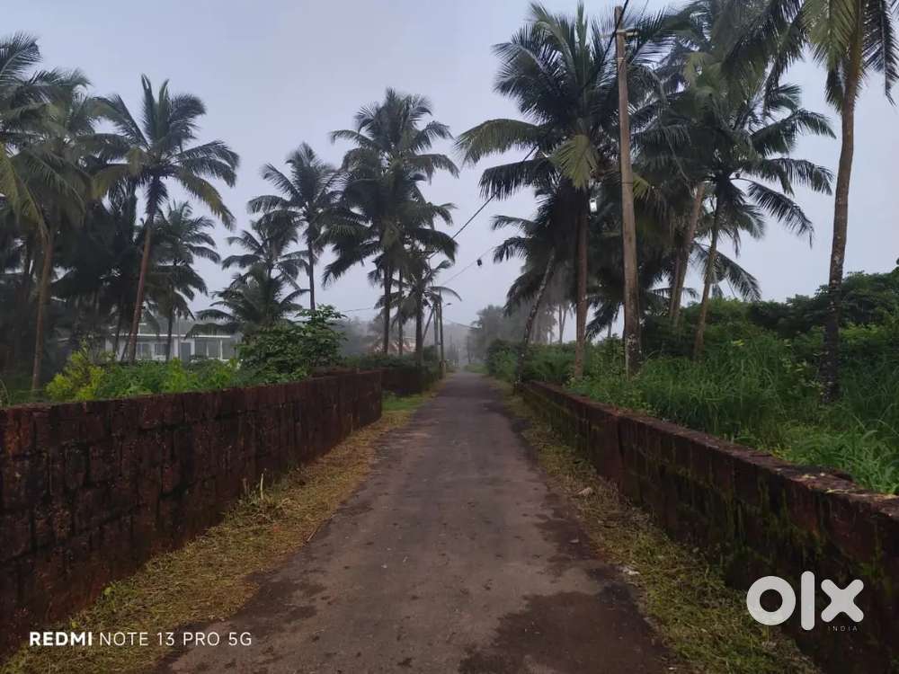 Payyambalam beach side property for sale