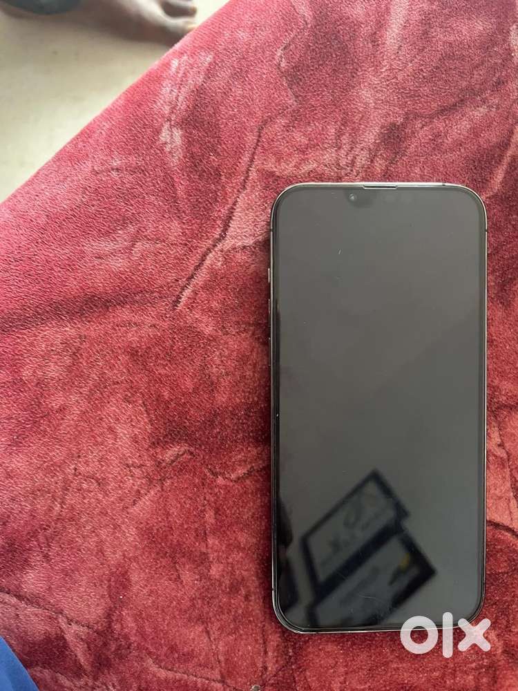 13 pro max 256gb