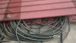 Cable5 year old 25 mm