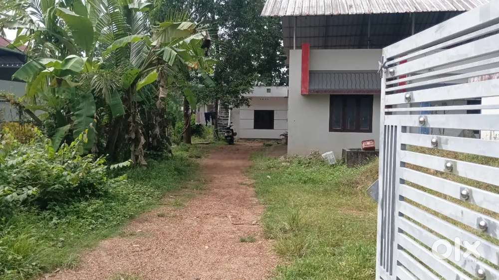 Apartment and flats for rent