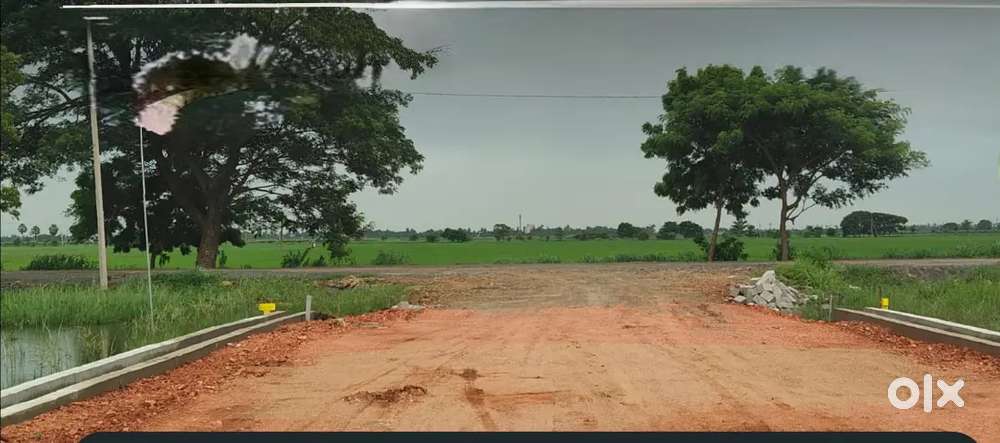 300 గజాలు, గజం 6000/- కంచికచర్ల ORR కి అతి దగ్గలో, NH65కి కూడా దగ్గరలో