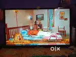 Bpl vivid with best conditions