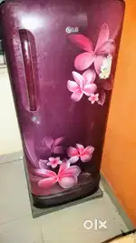 4 yr old fridge