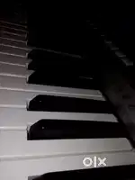 Home keyboard/piano classes