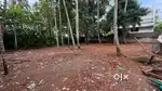 6 & 5.5 cent Residential Plot for sale in Mukkatukara.3km to Eastfort