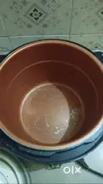 Electric pressure cooker