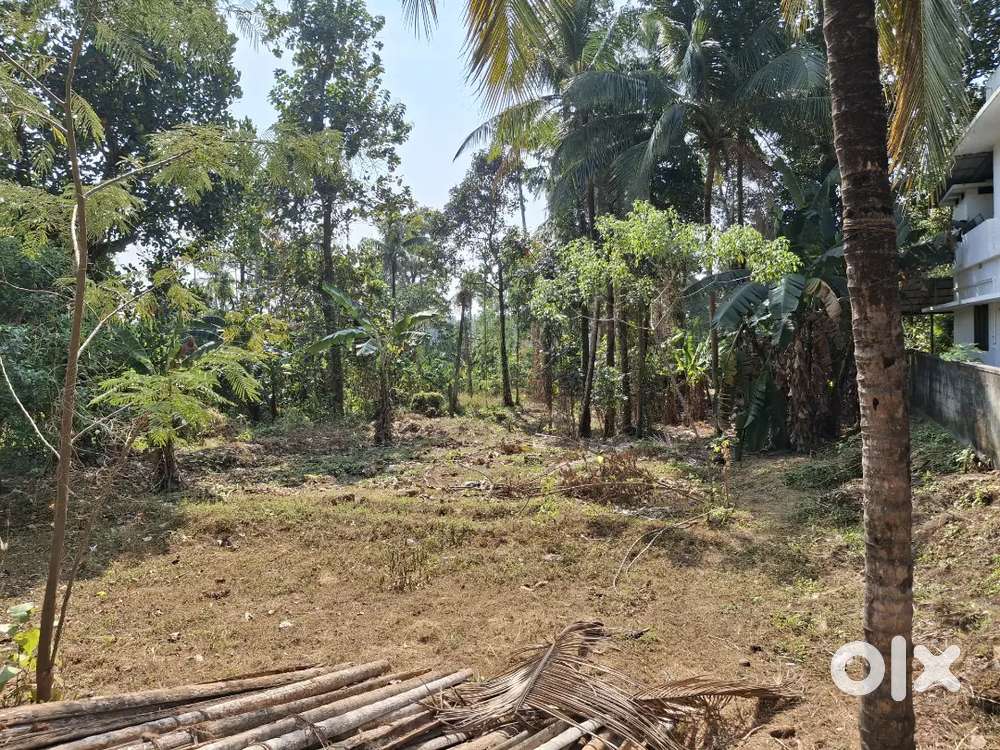 64 cent Land for 55 Lakhs