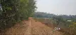 23-Acre Industrial Land for Sale in Kanchikode, Per cent 70,000