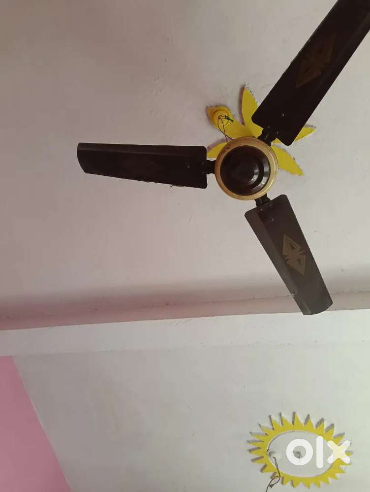 Room Available on Rent