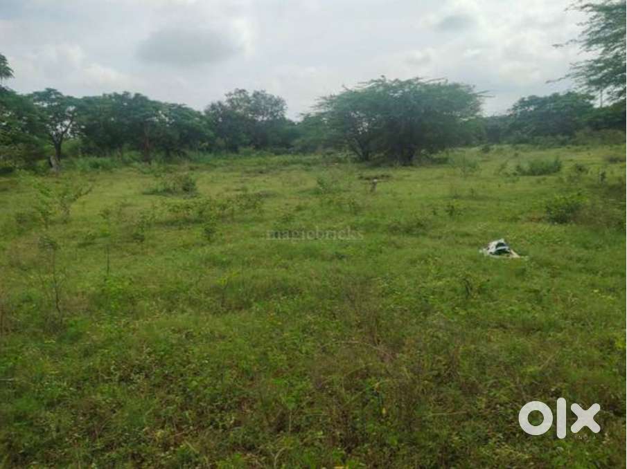 For sale agricultural land in lachampeta village, lakkavarapukota mand