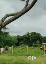 Land for house
