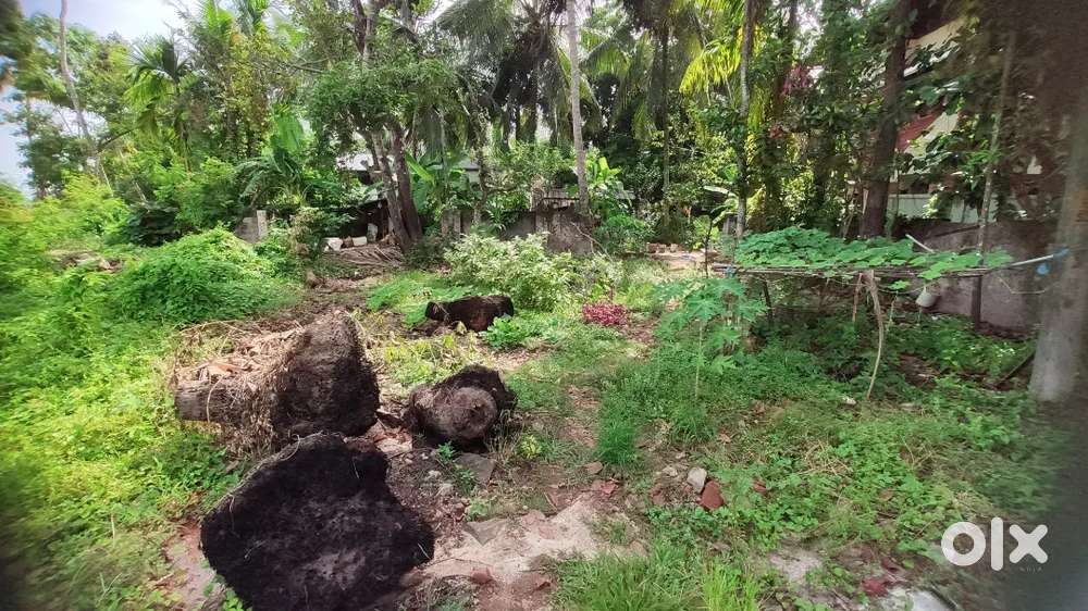 Land for sale at Kumbalam, nearby National Highway  66