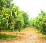 Farm Land Sale near Thindivanam