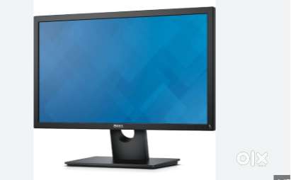 10 MONTH'S OLD CUP DELL MONITOR
