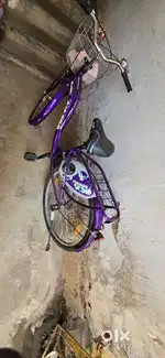 Raavi lady bird new brand cycle