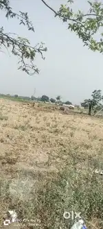 Corner 2 acre land near jamsher in just 42 lac per acre