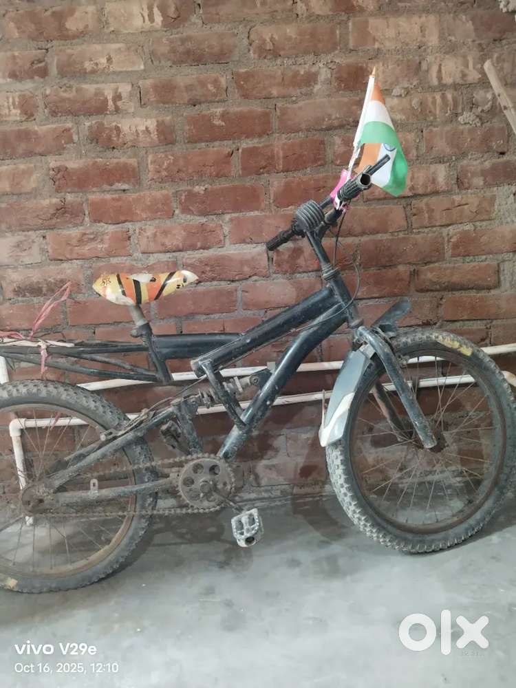 Cycle bast