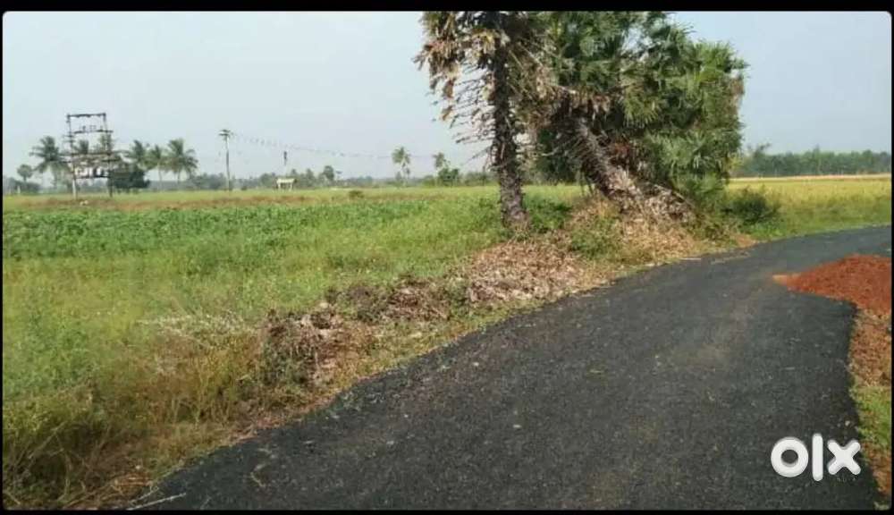 Agricultural land for sale in tindivanam