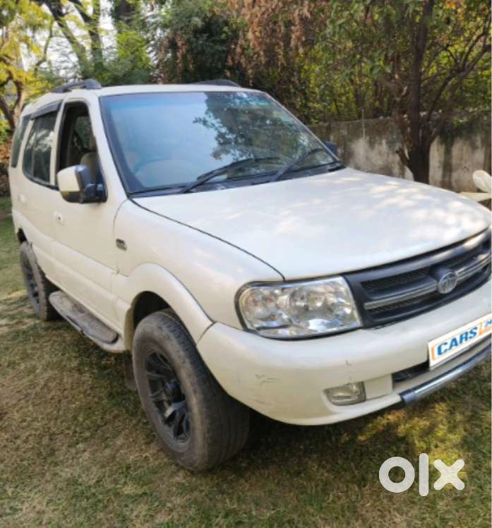 Driver cum domestic help