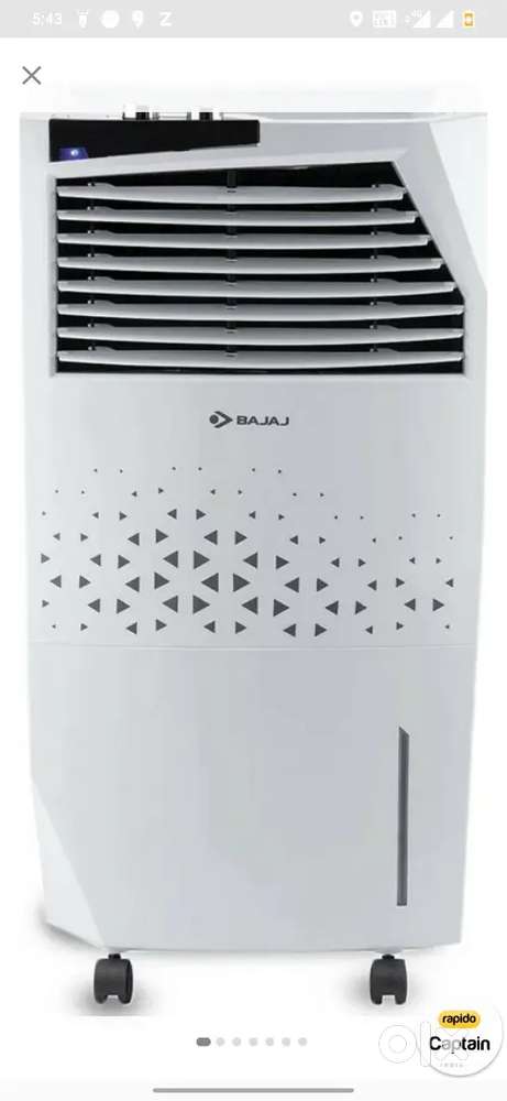 Cooler  36l