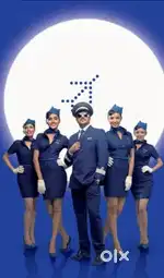 Want to do jobs in airlines authority