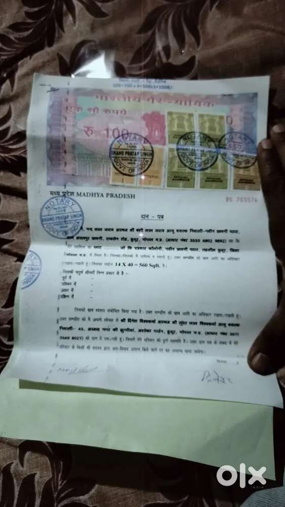 Urgent sale Krna hai daanptra wala plot Hai interested contact kre