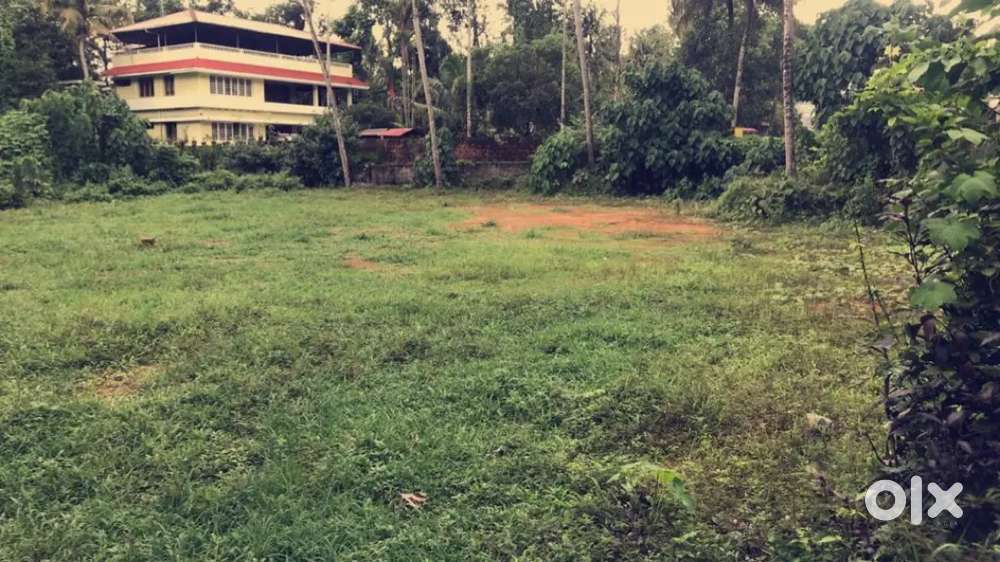 27 cents residential plot for sale at kangarapady kakkanad
