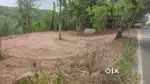 43 Cent Roadside land sale near Nadakkal, Kollam
