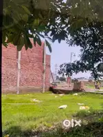 Apna plot apna makan