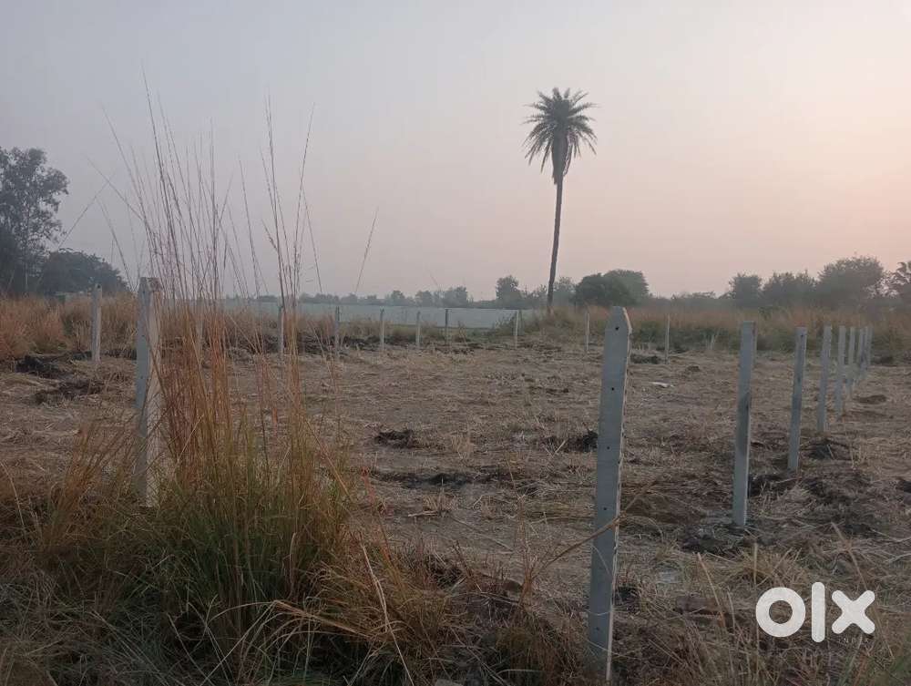 Commercial Plot sale on ring road near Faizabad road