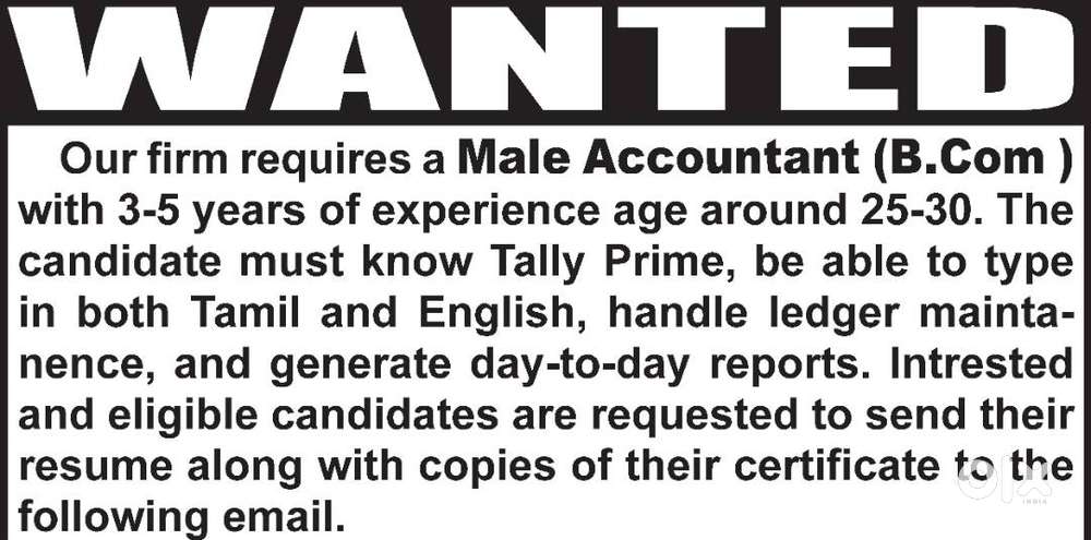 Male Accountant