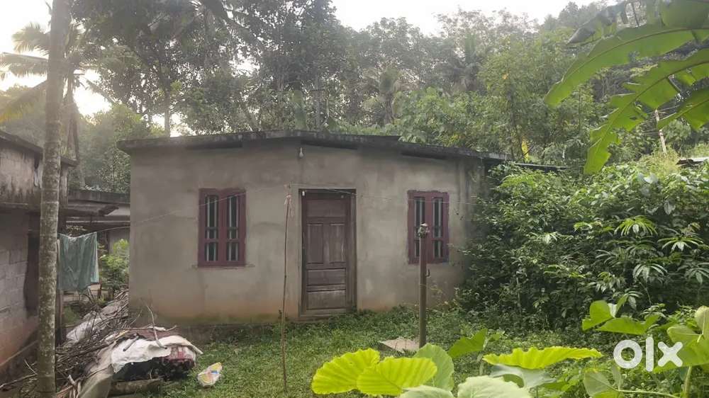 1 acres rubber and a small house 45000 for cent