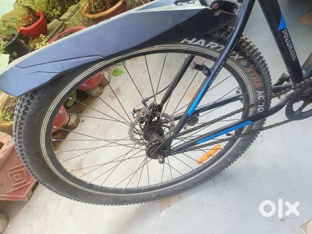 Pinamaya cycle with permanent colour