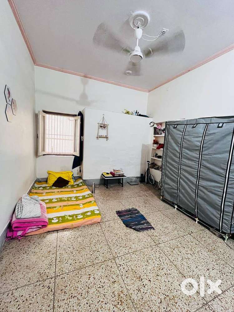 Looking For Girl room partner