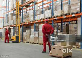 Immediately hiring Jobs