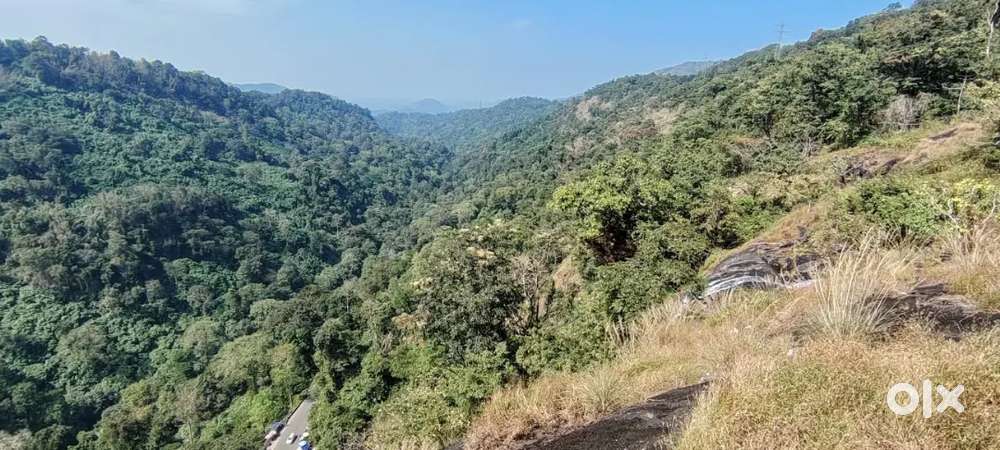 Driver for daily or weekly