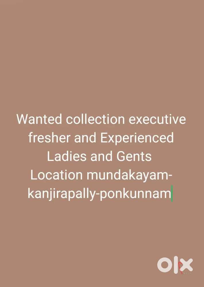 Wanted collection executives