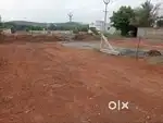 plot in P.C. Patti, Theni