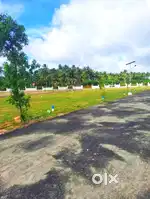 Beautiful low budget site in kinathukadavu