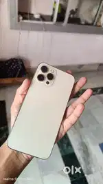 IPHONE 12 PRO MAX (GOLDEN EDITION)