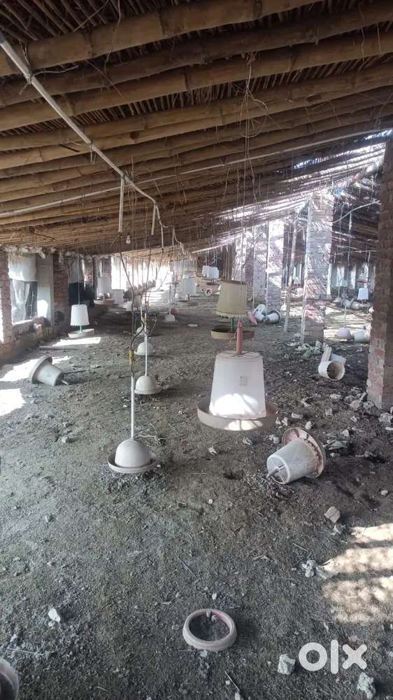 Poultry farm ke feeders ( bartan) for sell