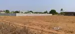 BT Road BIT,Near gajwel,Near Village,24 Gunta Agriculture land fr sale
