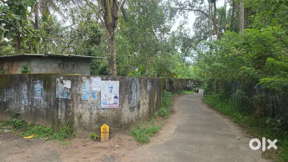 10 cent plot ചേർത്തല വാരനാട് കവല മെയിൻ റോഡ് സൈഡിൽ നിന്നും 200 മീറ്റർ