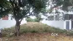 High demand plot in Gandhimaanagar for sale