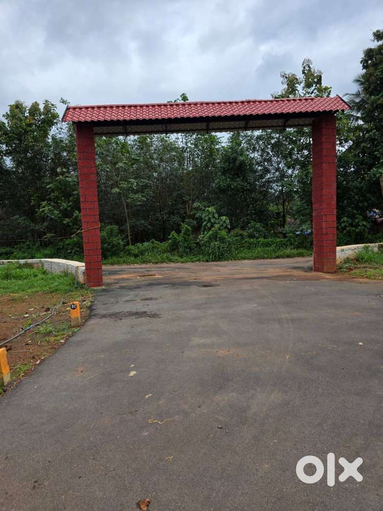 9 Cent House plot for sale in Viyyakurissi,Palakkad