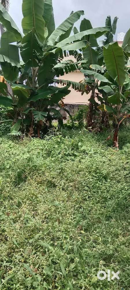 House  Plot  For  Sale  Pettah  Aksharaveedhi Road  Trivandrum