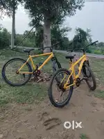 Best quality