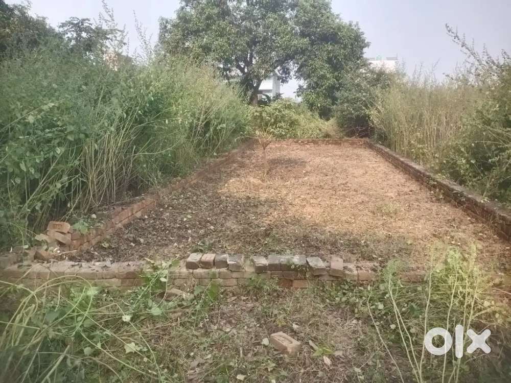 Rajput colony near mandi