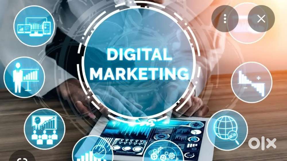 Digital Marketing Specialist